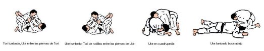 Seme Kata movimientos básicos de ataque