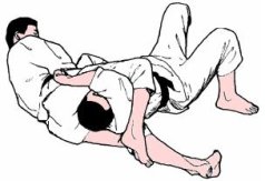 Yoko Sankaku